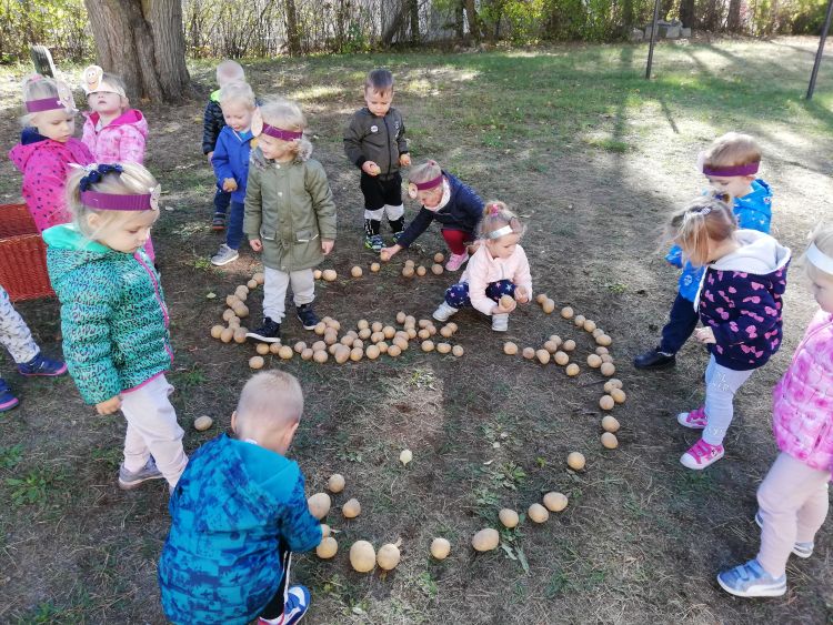 Święto ziemniaka